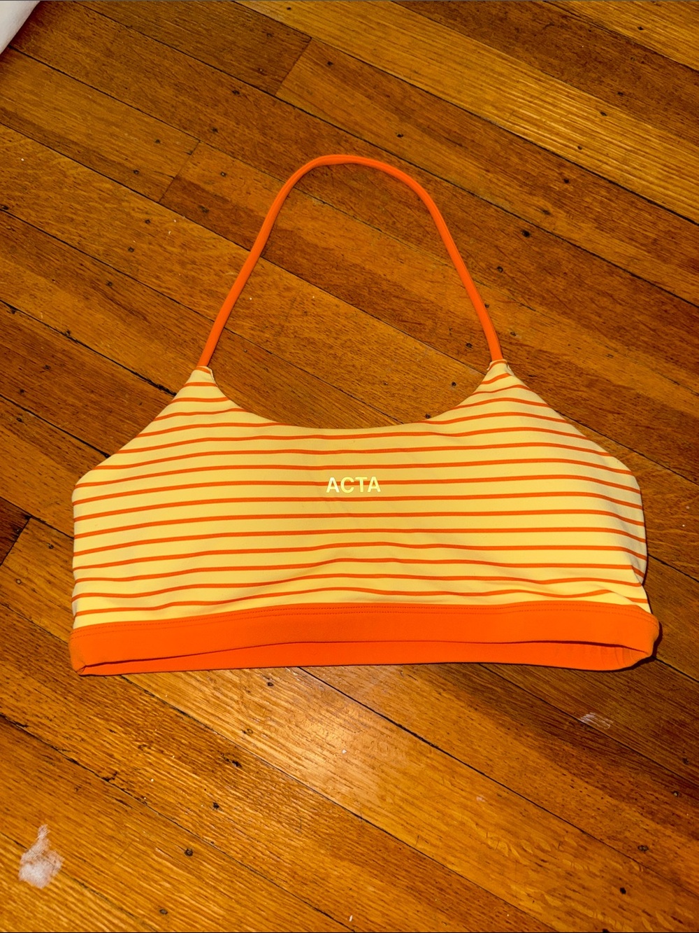 Ken Cradic x Acta Everlux Halter